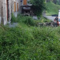 A l'arrivée : avant la tonte