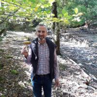 Les Pyrénées : c'est aussi la cueillette des champignons !