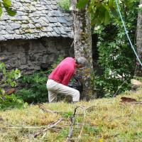 Abbattage des arbres 4 4