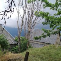 Arbres morts a abattre 4