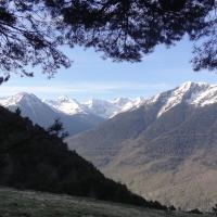Au dessus arres