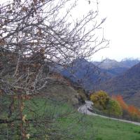 Couleurs d automne