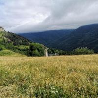 Img 20210705 wa0002 4