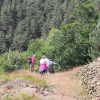 Img 20210705 wa0027 4