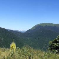 Img 20210706 wa0001 4