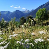 Img 20210706 wa0003 4