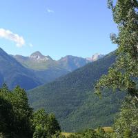 Img 20210706 wa0005 4