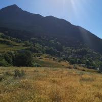 Img 20210706 wa0029 4