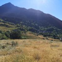 Img 20210706 wa0032 4