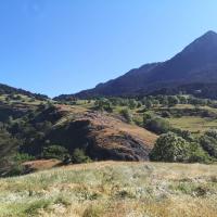 Img 20210706 wa0033 4