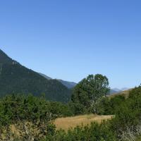 Img 20210706 wa0039 4