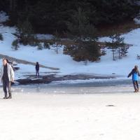 Lac gele 1