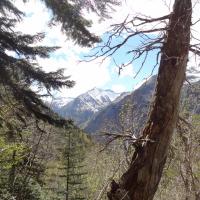 Montee vers refuge bessiberri 1