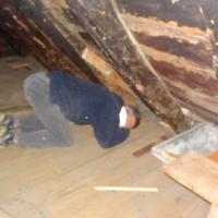 Pulsage laine de roche 1
