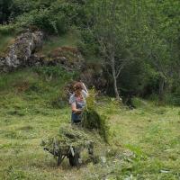 Ramassage de l herbe 4