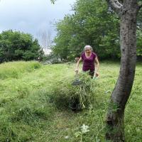 Ramassage herbe 2 5