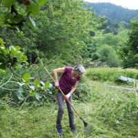Ramassage herbe 5