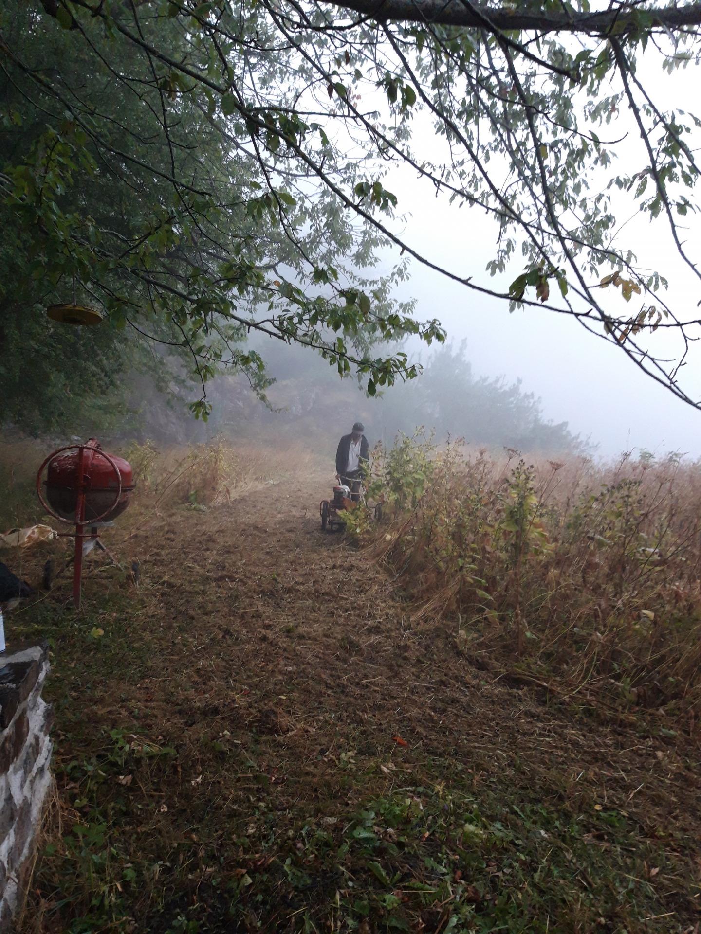 Tonte terrain sous la pluie 1