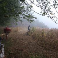 Tonte terrain sous la pluie 1