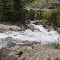 Torrent