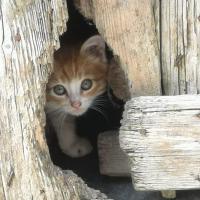 Un habitant d arres de sus 4